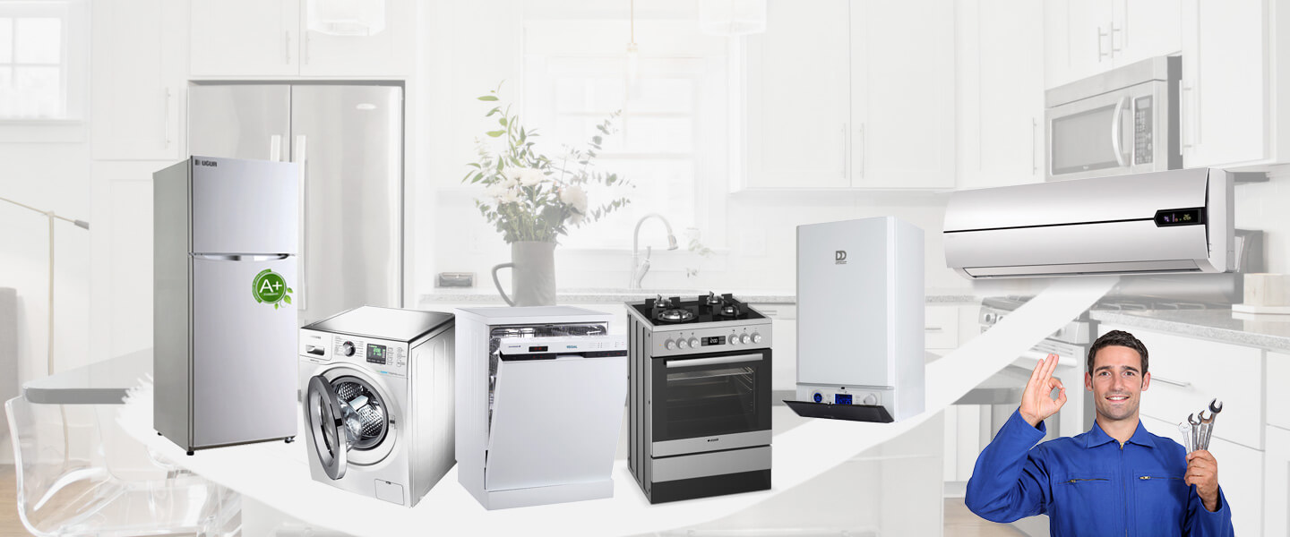 Buruncuk Bosch Servisi
